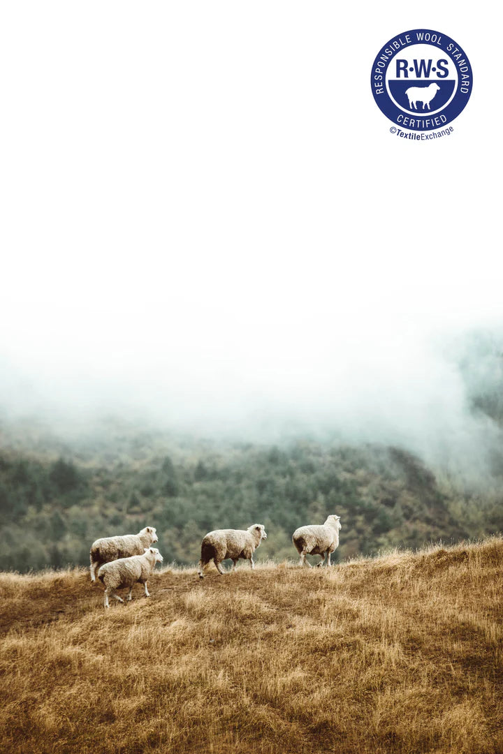 Four sheep stand on a grassy hill with misty trees in the background; RWS certification logo in corner.