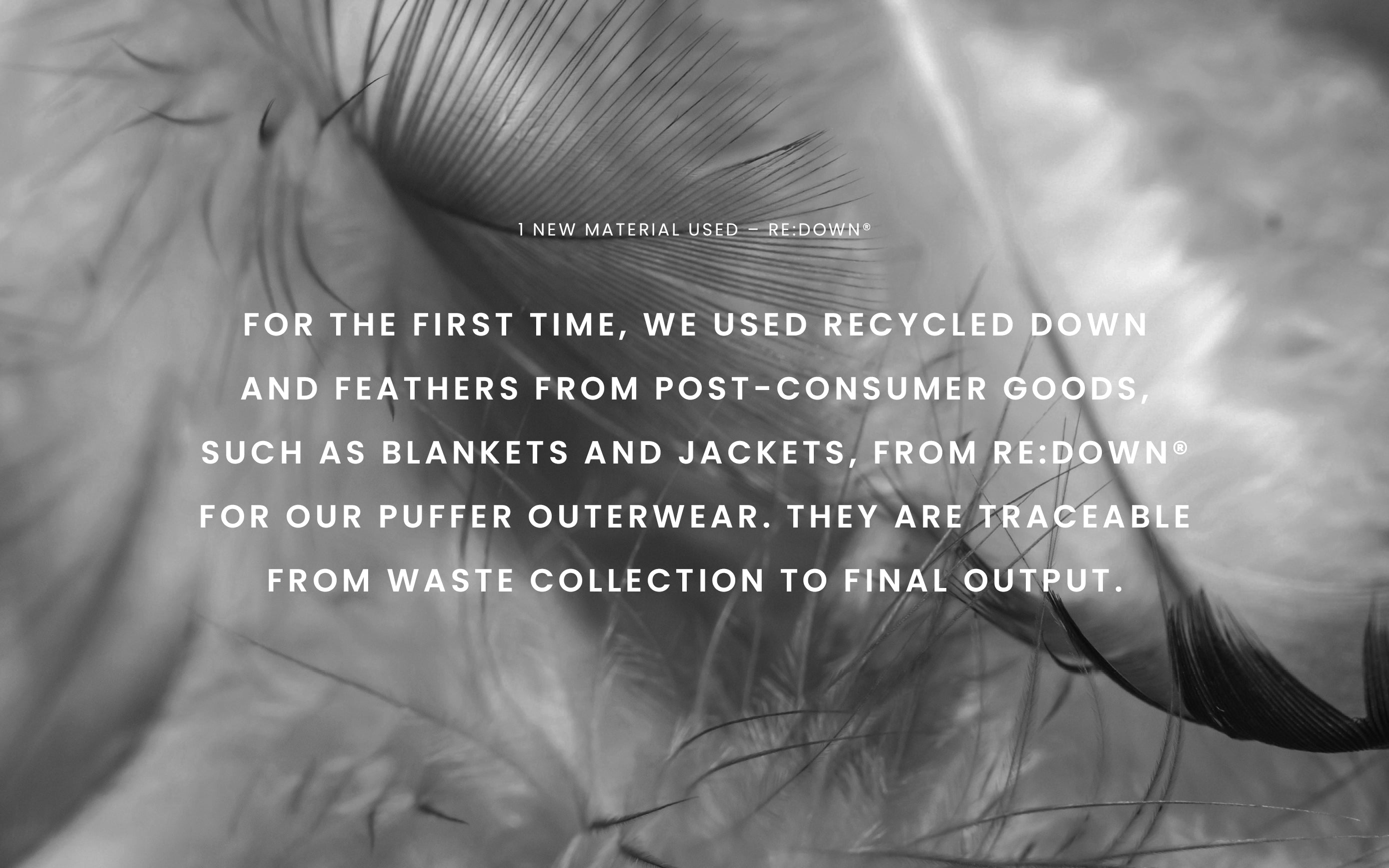Close-up of soft feathers with white text about using recycled down and feathers from post-consumer goods.
