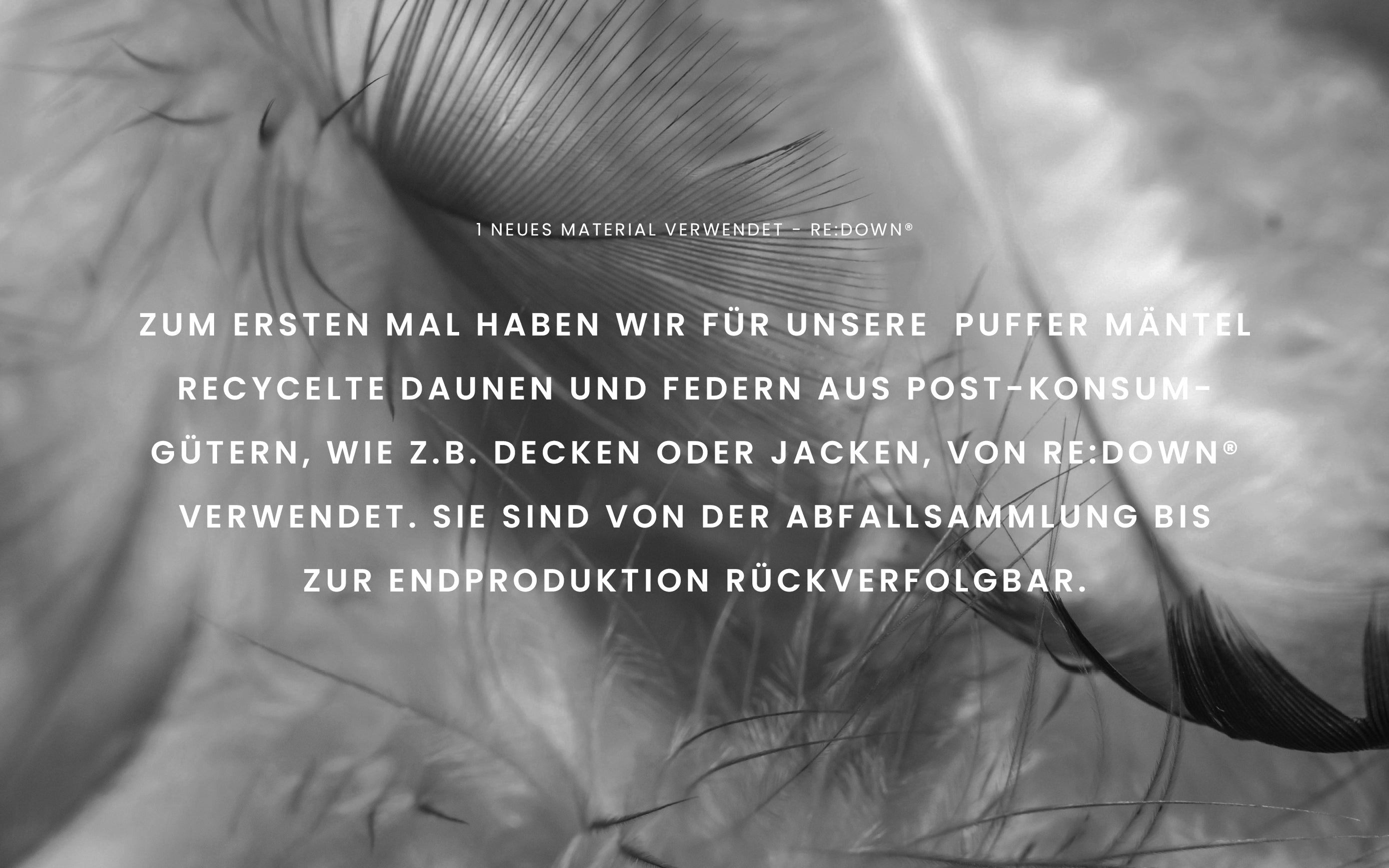Close-up of feathers with German text explaining the use of recycled down in jackets and their traceability.