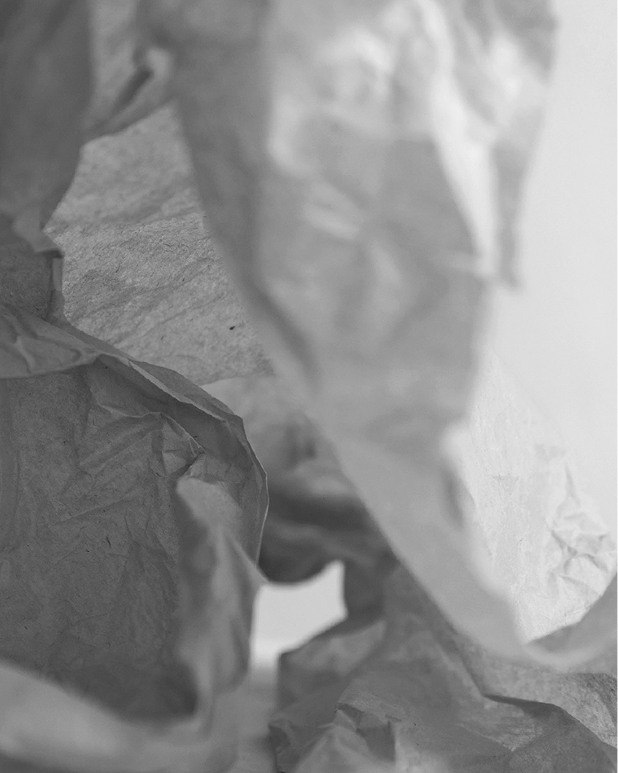 Close-up of crumpled, textured tissue paper in grayscale with soft lighting and abstract shapes.