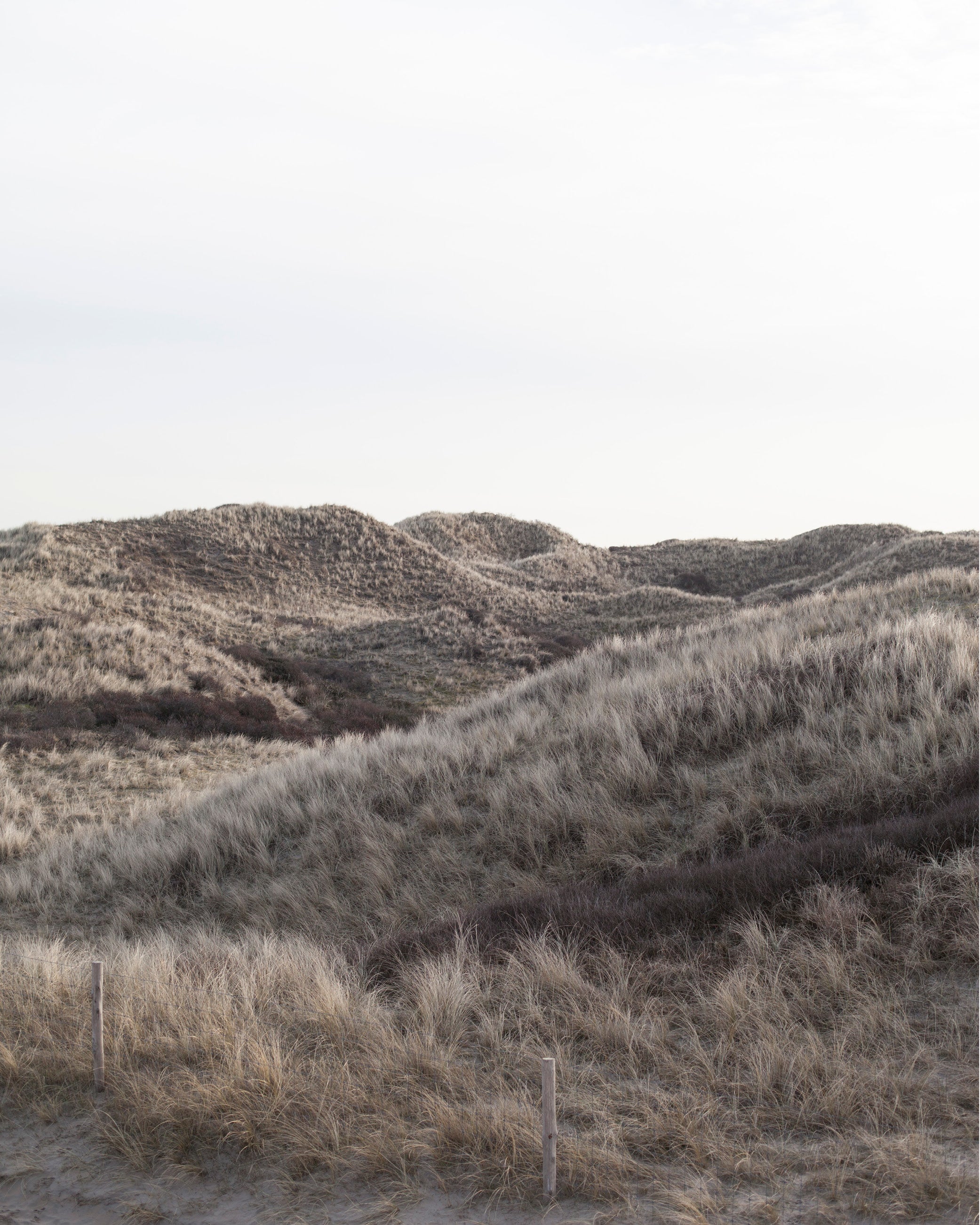 Rolling sand dunes covered with dry, pale grass under an overcast sky.