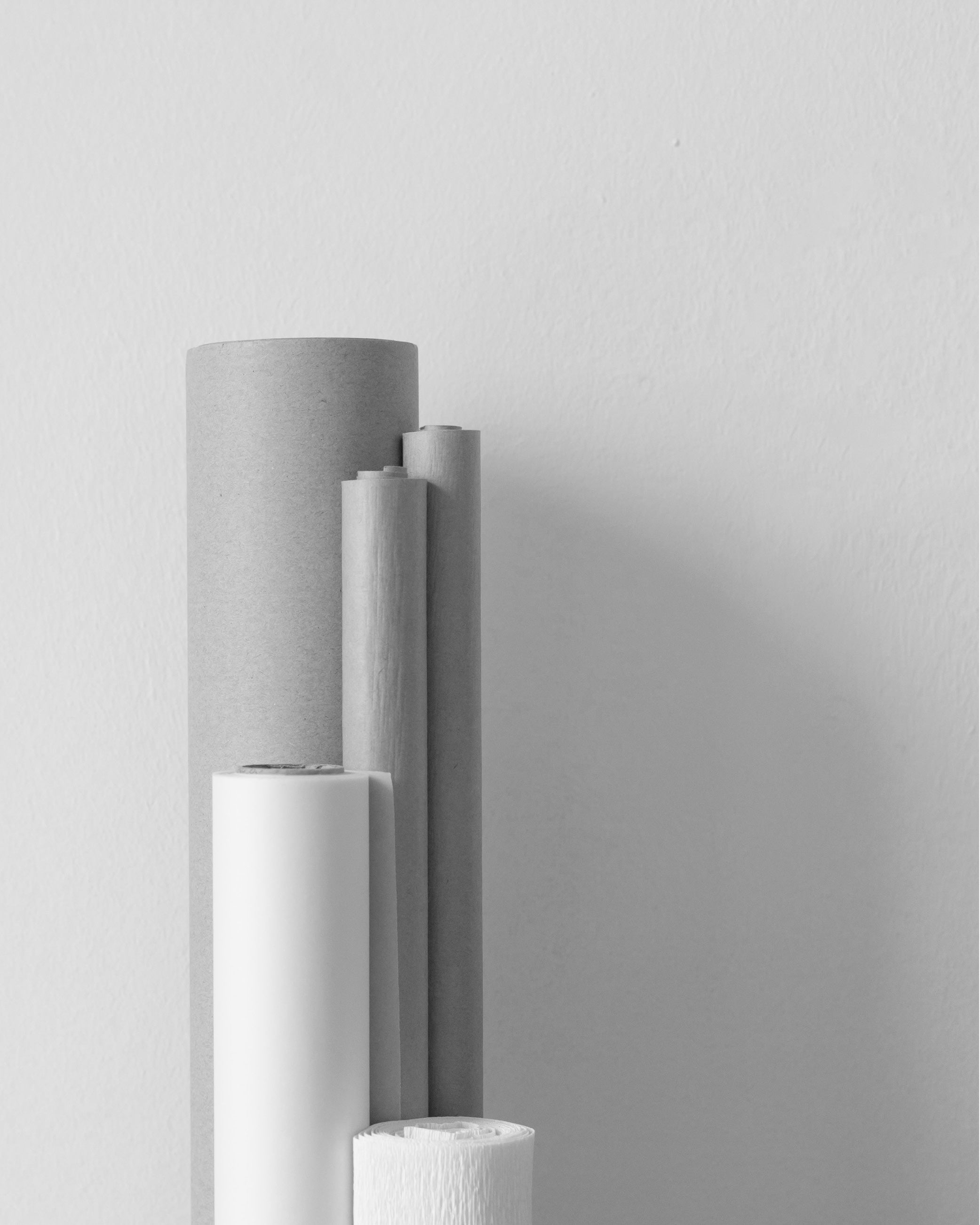 Several rolls of plain paper and cardboard tubes standing upright against a light grey wall.