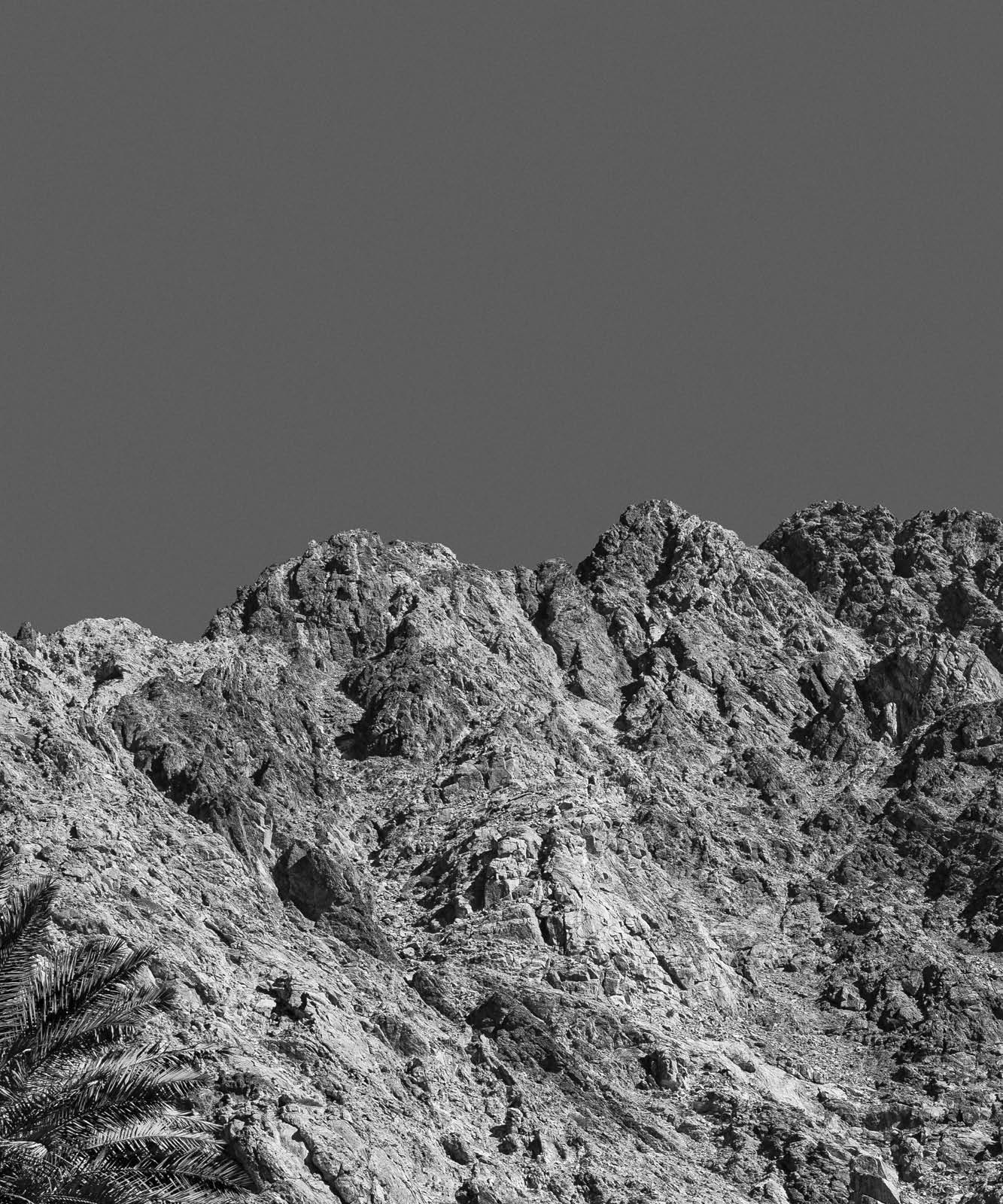 Jagged rocky mountain slope under a clear sky, with part of a palm frond visible in the lower left corner.