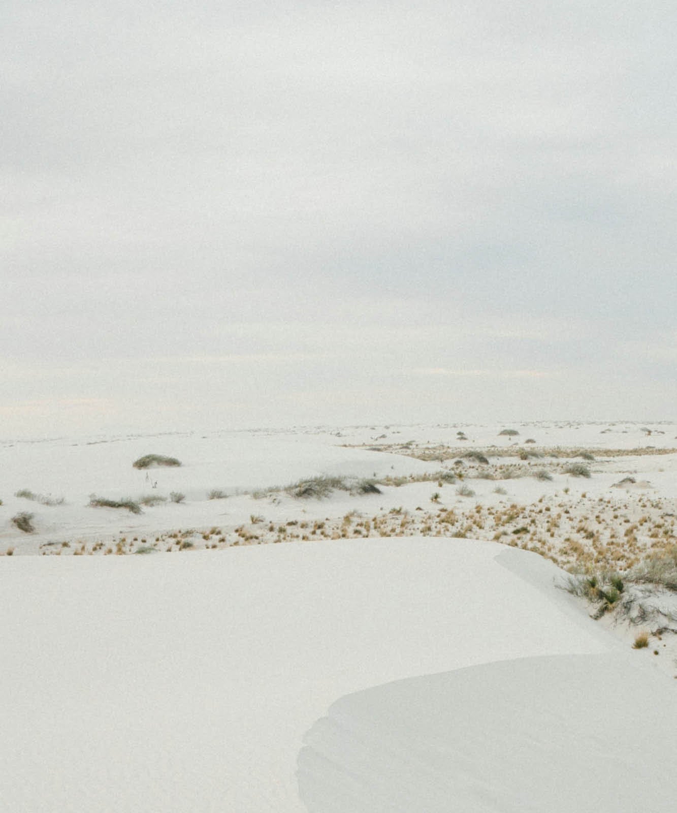 White sand dunes with sparse grass and shrubs under a pale, cloudy sky in a calm desert landscape.
